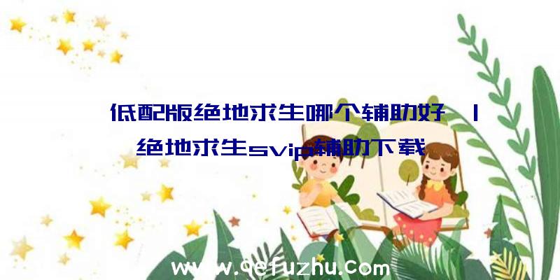 「低配版绝地求生哪个辅助好」|绝地求生svip辅助下载